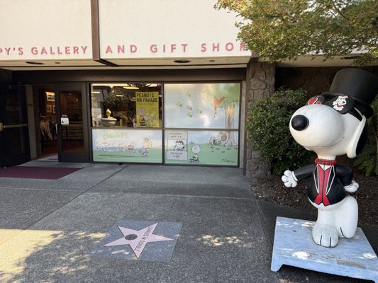 Snoopy's Home Ice by null