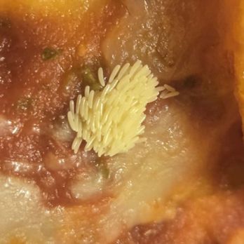 Little Caesars Pizza - A cluster of fly eggs on our pizza. Very clearly eggs and not parmesean cheese. - Pizza Near Me - Chehalis, Washington Little Caesars Pizza - A cluster of fly eggs on our pizza. Very clearly eggs and not parmesean cheese. - Pizza Near Me - Chehalis, Washington