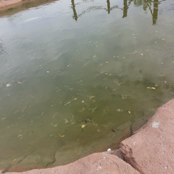 Adventure Zone - Nasty water - Amusement Parks Near Me - El Paso, Texas