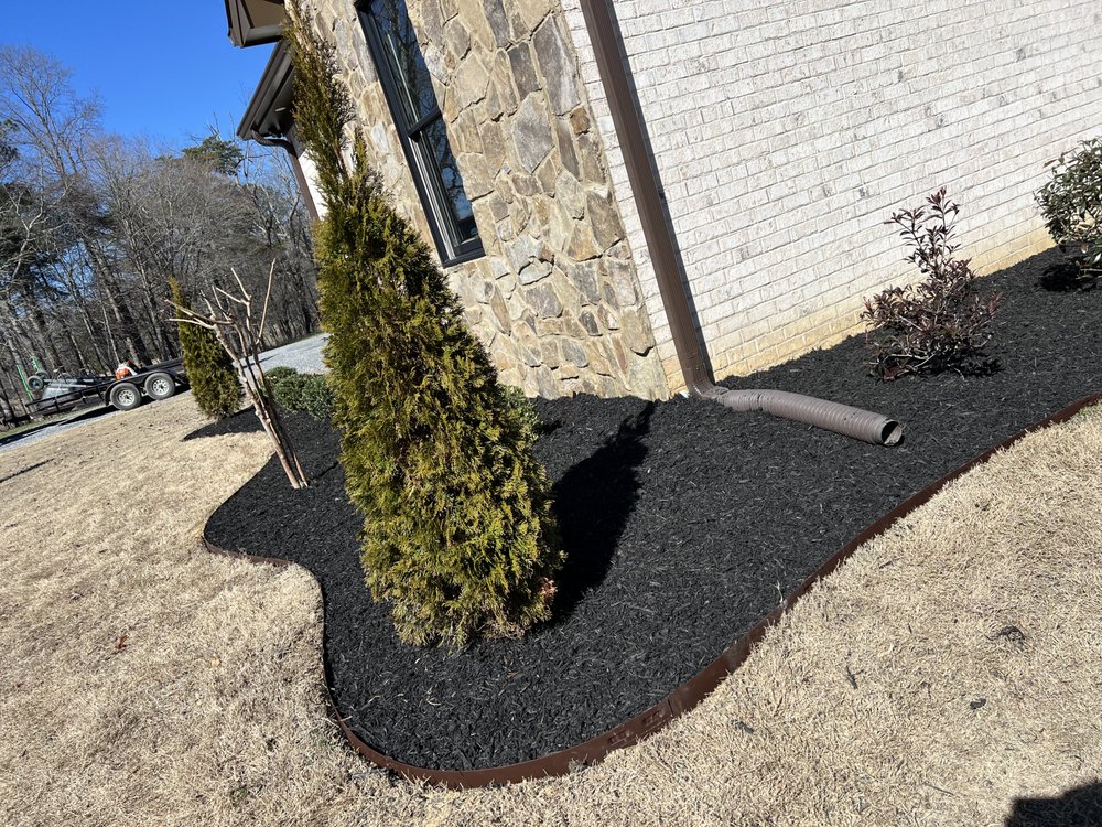 The Best Look lawn and Landscaping - tree service in Fort Payne, AL