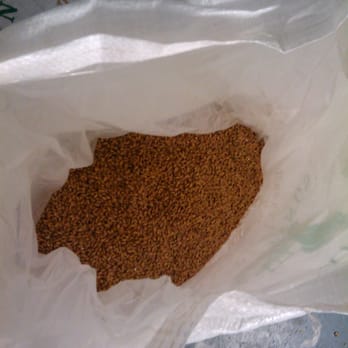 Sambrook's Brewery - Hops, I think. - Breweries Near Me - London, XGL Sambrook's Brewery - Hops, I think. - Breweries Near Me - London, XGL