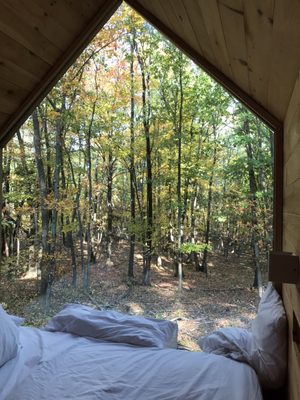 Gather Greene by null