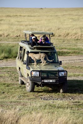 Natural Habitat Adventures by null