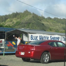 Blue Water Shrimp & Seafood