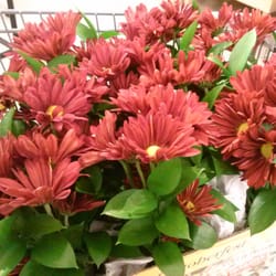 Stop & Shop Florist - Centerpieces ready for pick up as promised,