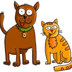 Walk & More 4 Pets - Safety, Love & Fun!
