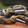 Photo of Ashworth's Cookies