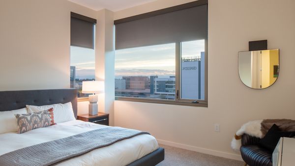 St Paul Collection by null