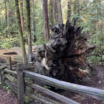 Stout Grove - Hiking Near Me
