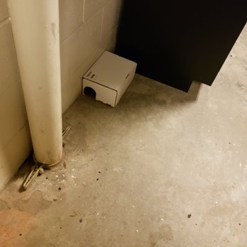 Central Place - Rat Traps in the Package Room Where My Food Is Delivered - Apartments Near Me - Arlington, Virginia Central Place - Rat Traps in the Package Room Where My Food Is Delivered - Apartments Near Me - Arlington, Virginia