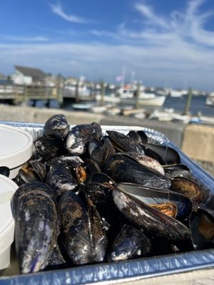 Rye Harbor Lobster Pound by null