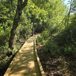 Yawgoo Pond Trail