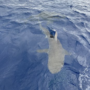 Grand Slam - Fishing Near Me - Haleiwa, Hawaii Grand Slam - Fishing Near Me - Haleiwa, Hawaii