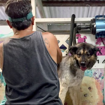 Roxie's Dog Grooming - How wonderful! I just love it when mom says she's taking me to the beauty shop! I give Roxy's grooming 5 Paws! - Pet Groomers Near Me - Keaau, Hawaii Roxie's Dog Grooming - How wonderful! I just love it when mom says she's taking me to the beauty shop! I give Roxy's grooming 5 Paws! - Pet Groomers Near Me - Keaau, Hawaii