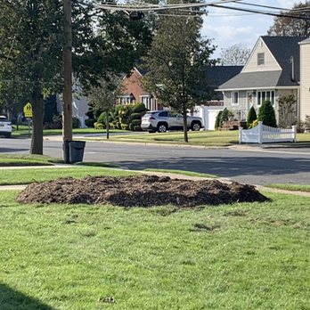 We Care Tree Service - Tree Services Near Me - Bellmore, New York