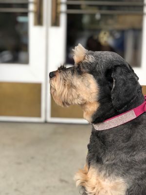 Nimble & Finn's by null