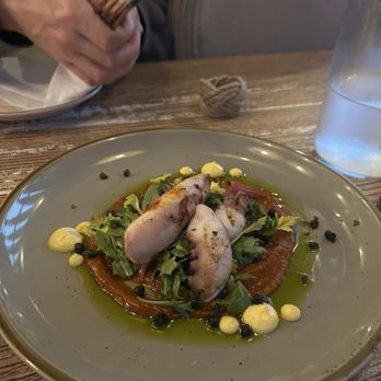 Chortke - Octopus - Persian/Iranian Near Me - Rochester, New York Chortke - Octopus - Persian/Iranian Near Me - Rochester, New York