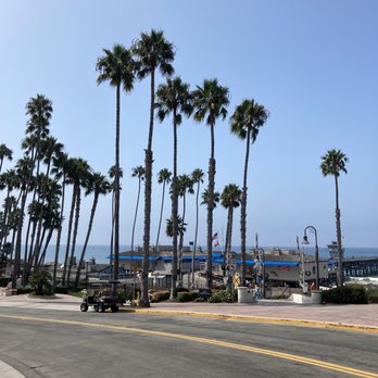 Bear Coast Coffee - Coffee & Tea Near Me - San Clemente, California