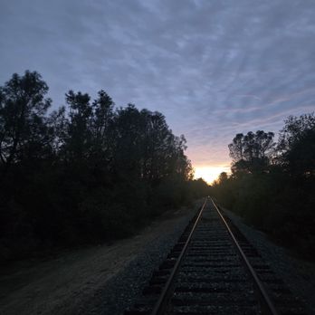 Rail Explorers - Amador Division - Tours Near Me - Ione, California Rail Explorers - Amador Division - Tours Near Me - Ione, California