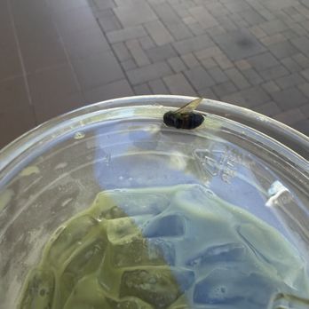 Better Buzz Coffee Fashion Valley - Coffee & Tea Near Me - San Diego, California Better Buzz Coffee Fashion Valley - Coffee & Tea Near Me - San Diego, California