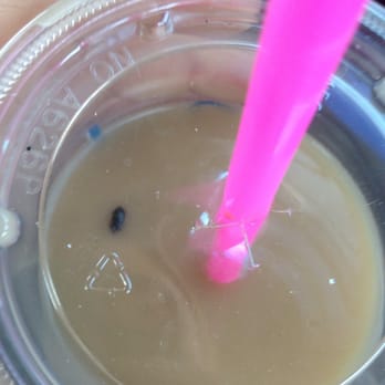 Dutch Bros Coffee - Here's the beetle I found, I stopped drinking it after I saw it and then all of the ice melted. - Coffee & Tea Near Me - Forest Grove, Oregon Dutch Bros Coffee - Here's the beetle I found, I stopped drinking it after I saw it and then all of the ice melted. - Coffee & Tea Near Me - Forest Grove, Oregon