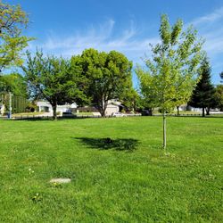 Riviera East Park