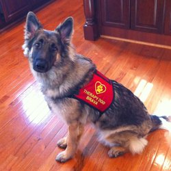 Tri-State Canine Obedience - After graduating :)