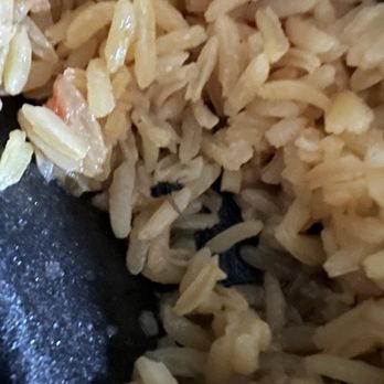 Jalapeños - 2 - Dead fly or some type of bug in my rice. - Mexican Near Me - Coolidge, Arizona Jalapeños - 2 - Dead fly or some type of bug in my rice. - Mexican Near Me - Coolidge, Arizona