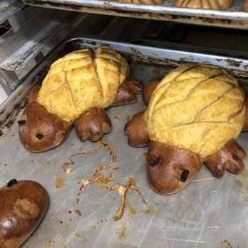 Juanita Market - The cutest turtle pastries in the bakery - Grocery Near Me - Tracy, California Juanita Market - The cutest turtle pastries in the bakery - Grocery Near Me - Tracy, California
