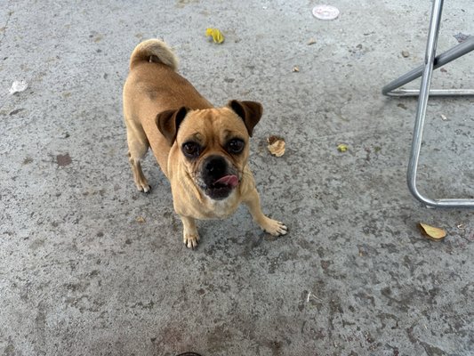 X'tiosu Kitchen by null