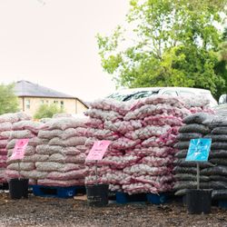 Katy Garden Center