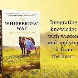 Phoenix Ranch / CETA Foundation - Available on Amazon or for pickup at Phoenix Ranch