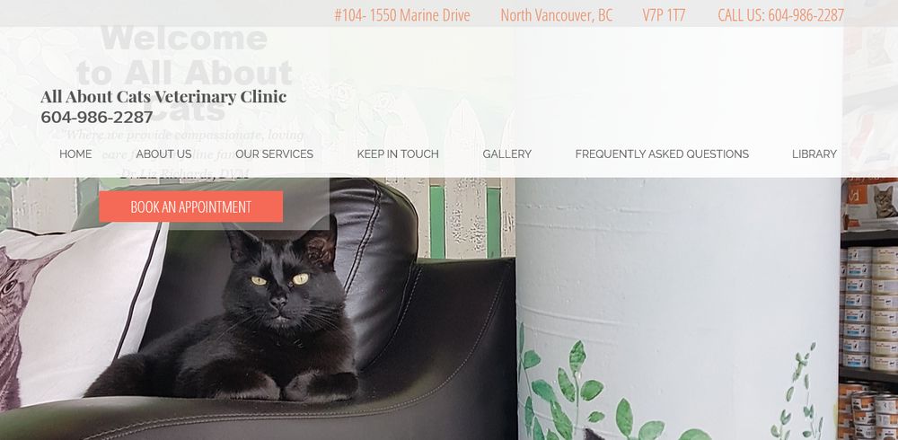 all about cats clinic