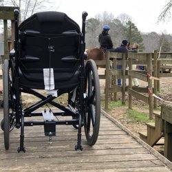 Horses for Hope