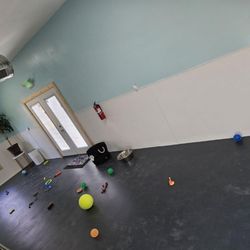 Minton's Mutts - Indoor play yard