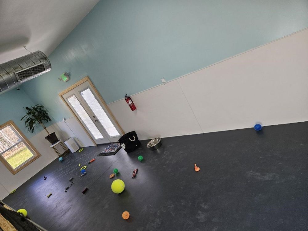 Minton's Mutts Image