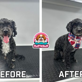 Fluff N Buff - Pet Groomers Near Me - Fairfield, California