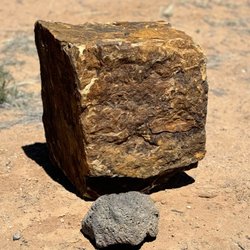 Bella Stone