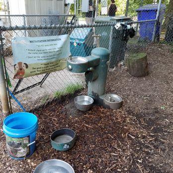 Oakhurst Dog Park - Plenty of water to keep the pups hydrated - Dog Parks Near Me - Decatur, Georgia Oakhurst Dog Park - Plenty of water to keep the pups hydrated - Dog Parks Near Me - Decatur, Georgia