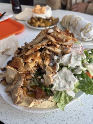 Shawarma Palace (Centretown) by null