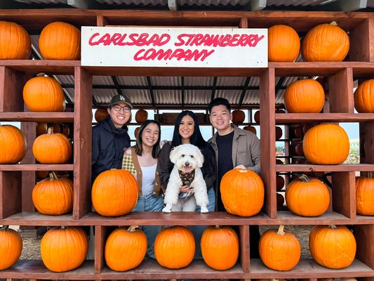 Carlsbad Strawberry Company by null