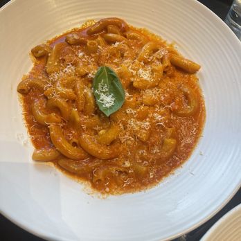 OLIVIA - TORTIGLIONI - Italian Near Me - Tampa, Florida OLIVIA - TORTIGLIONI - Italian Near Me - Tampa, Florida