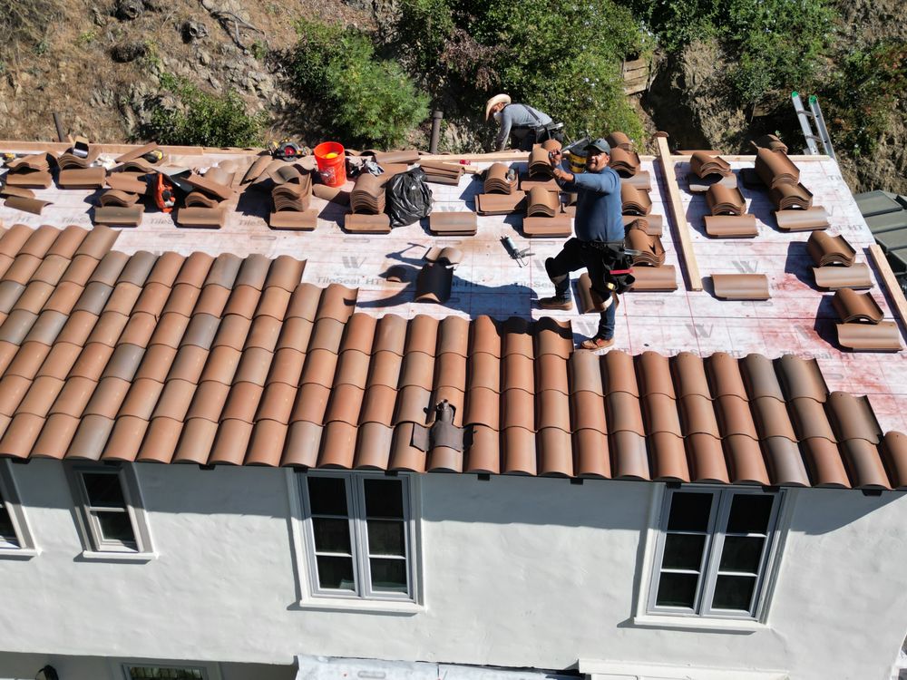 Slide of Roofs of Art