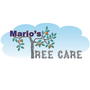 Photo of Marios Tree Care