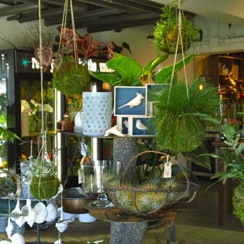 Nellybelle General Store - Root Yourself in the Unexpected - Florists Near Me - Evergreen, Colorado