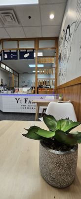 Yifang Taiwan Fruit Tea Plano by null