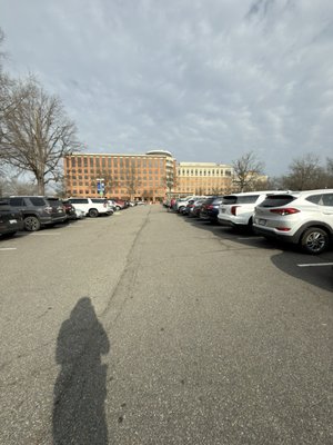 Virginia Physicians For Women