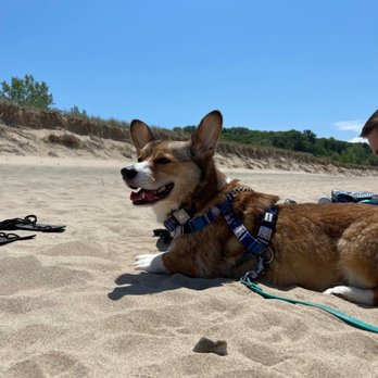 Warren Dunes State Park - My dog at Warren Dunes! - Parks Near Me - Sawyer, Michigan Warren Dunes State Park - My dog at Warren Dunes! - Parks Near Me - Sawyer, Michigan