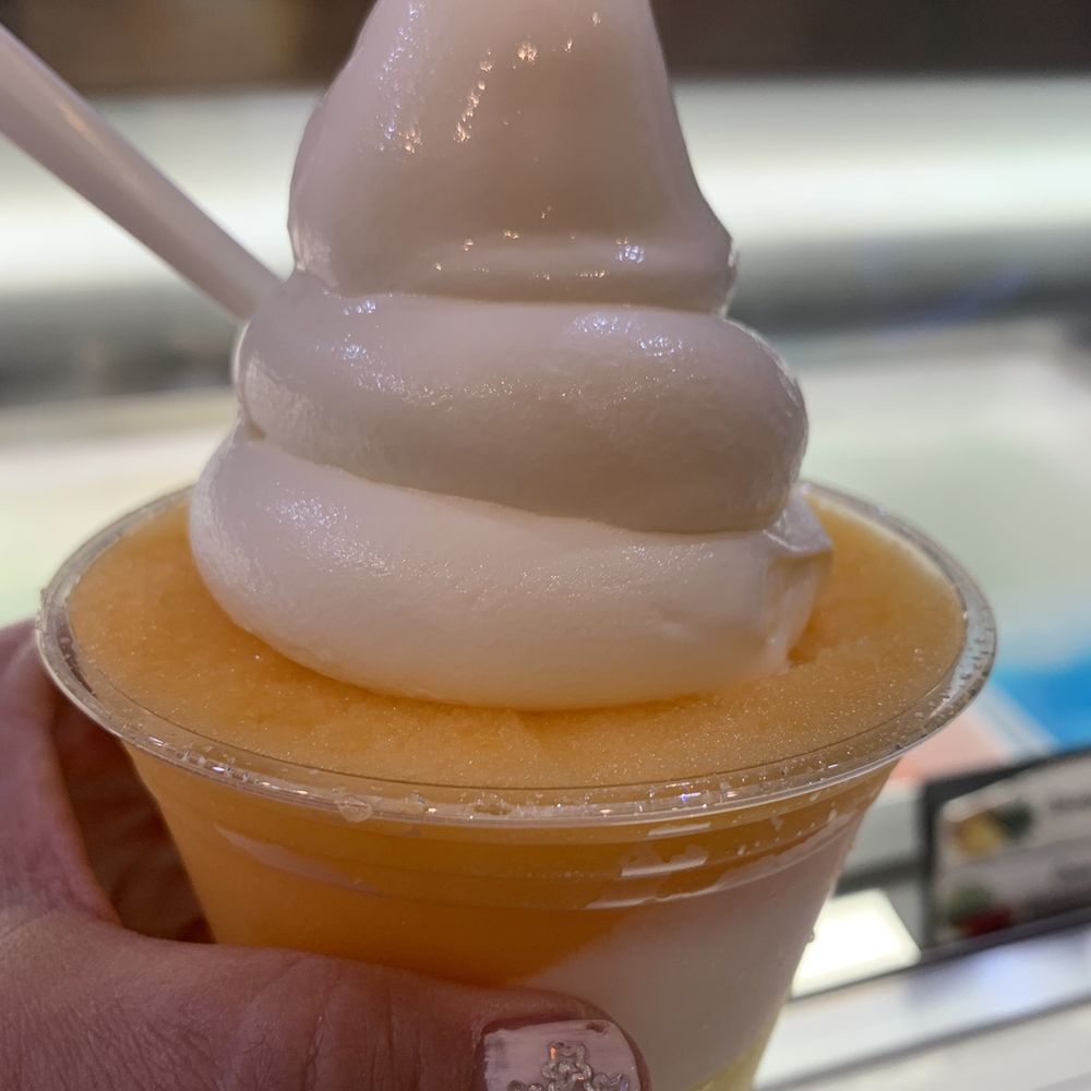 Sweet and Shavery - Cactus cooler - Desserts Near Me - Davis, California