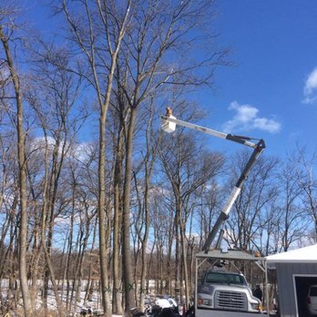 Freers & Sons Tree Service - Tree Services Near Me Freers & Sons Tree Service - Tree Services Near Me